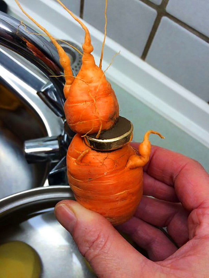 Обручальное кольцо на морковке